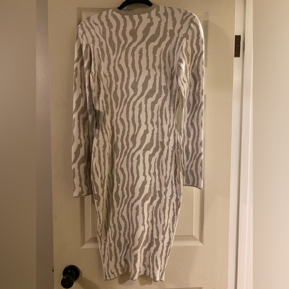 COPY - COPY - NWT Express Leopard Print Dress - Picture 2 of 3